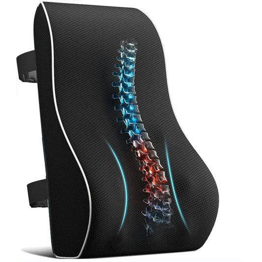 SpineFit